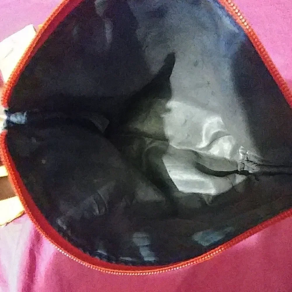 2 hand/makeup bags *randomized *